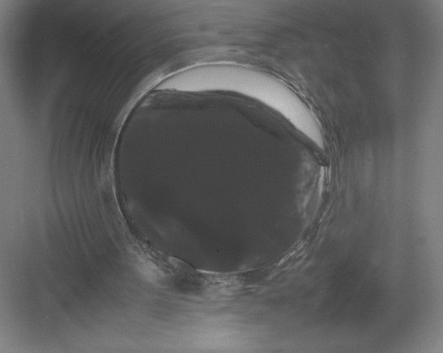 X0000082940099200702152224