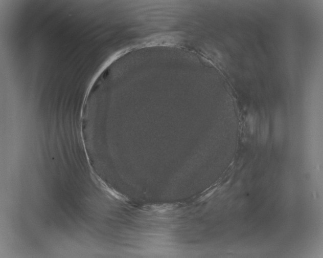 X0000082940100200702152224