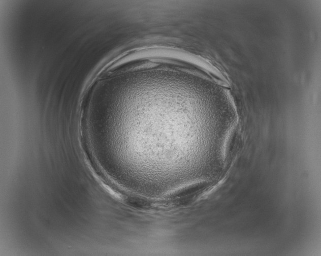 X0000082940101200702152224