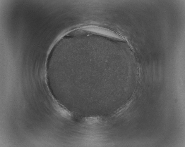 X0000082940102200702152224