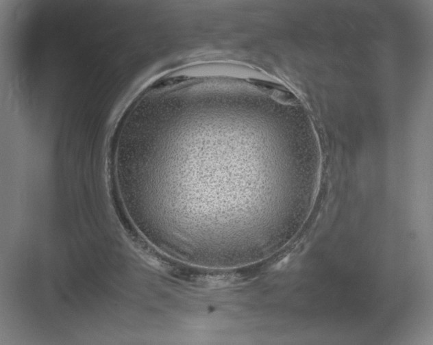 X0000082940103200702152224