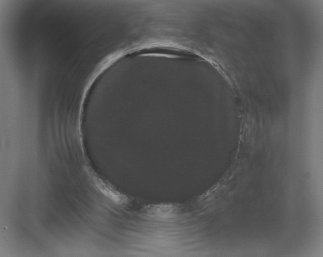 X0000082940104200702152224