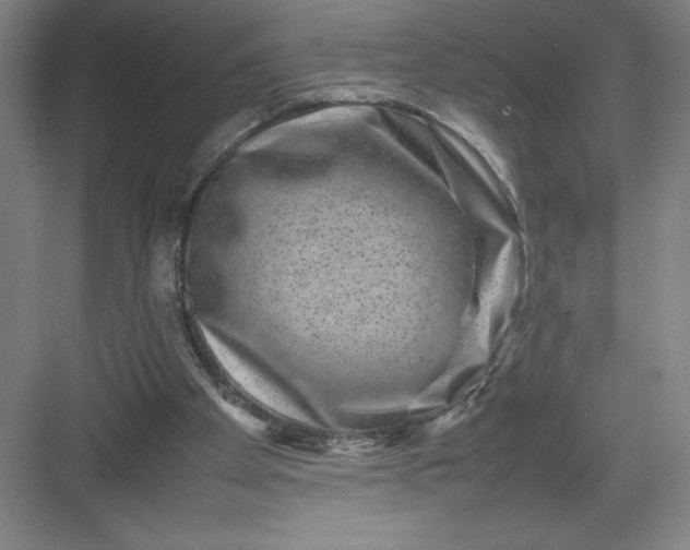 X0000082940105200702152224