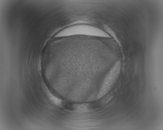 X0000082940106200702152224