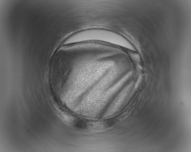 X0000082940107200702152224