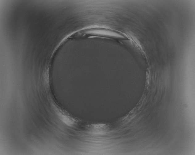 X0000082940108200702152224