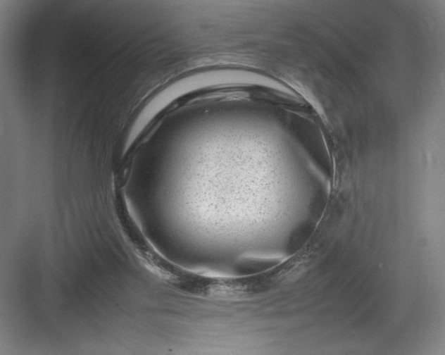 X0000082940109200702152224