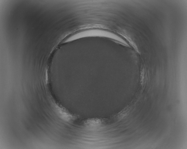 X0000082940110200702152224