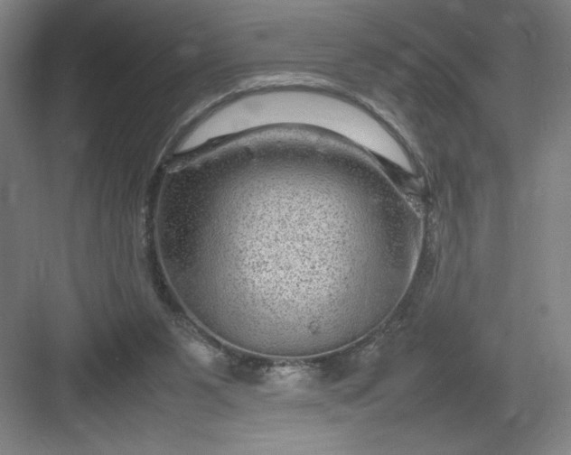 X0000082940111200702152224