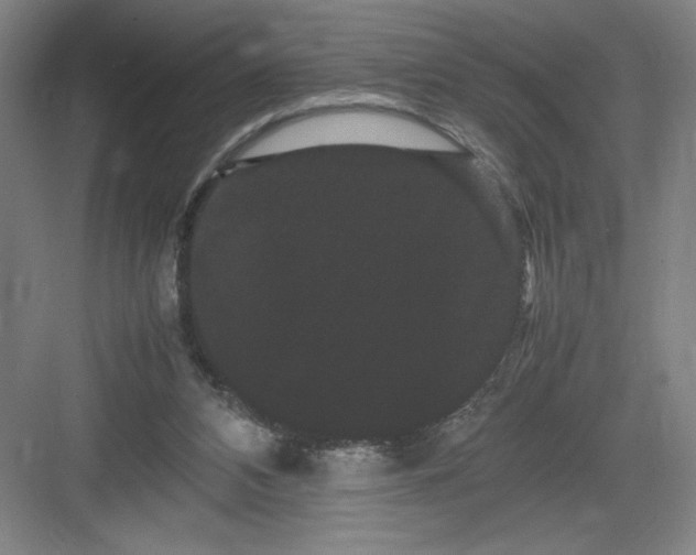 X0000082940112200702152224