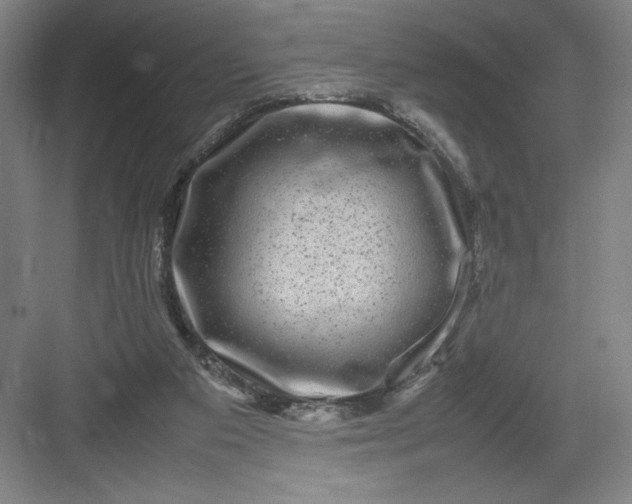 X0000082940113200702152224