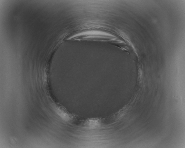 X0000082940114200702152224