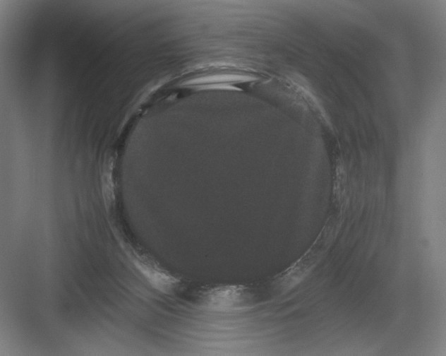 X0000082940116200702152224