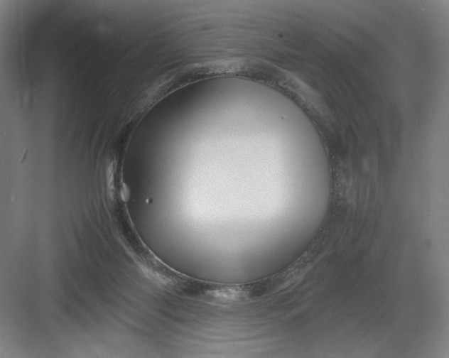 X0000082940118200702152224