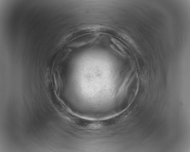 X0000082940119200702152224