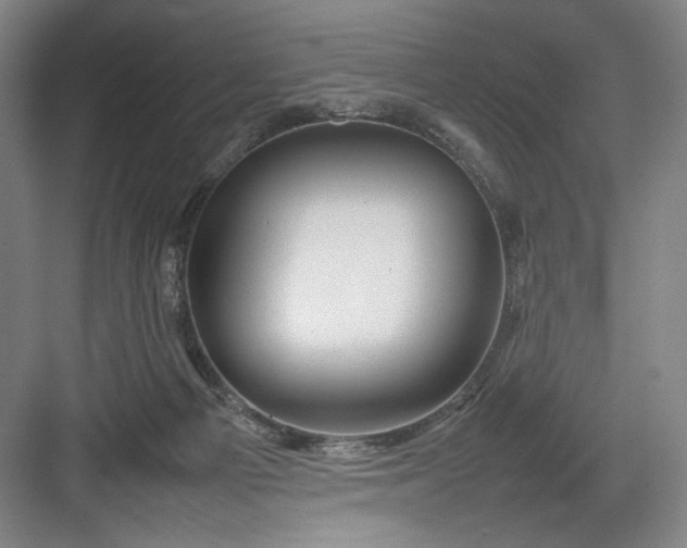 X0000082940121200702152224