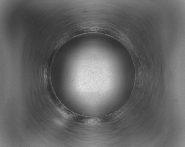 X0000082940122200702152224