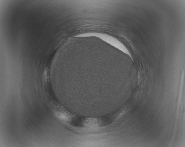 X0000082940123200702152224