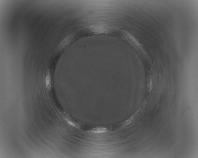 X0000082940124200702152224