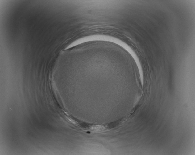 X0000082940125200702152224