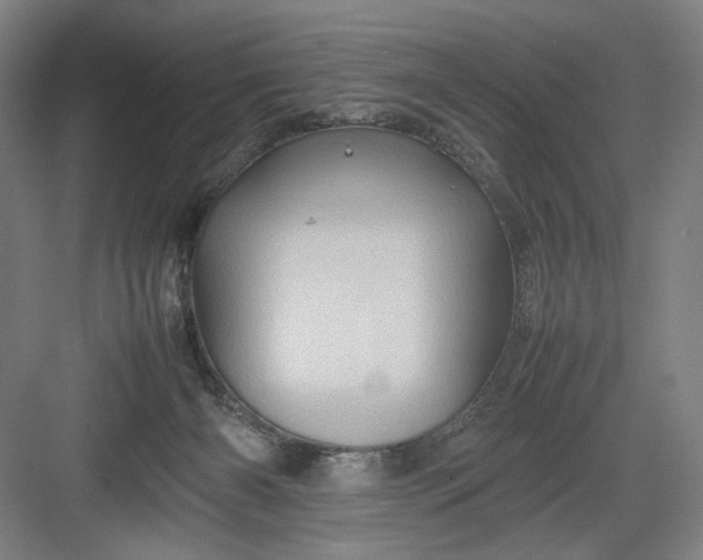 X0000082940126200702152224