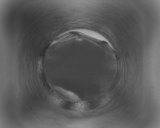 X0000082940127200702152224