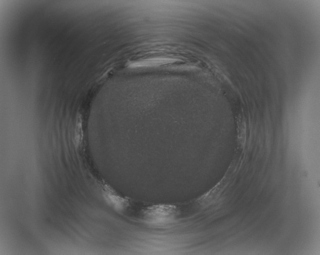 X0000082940128200702152224