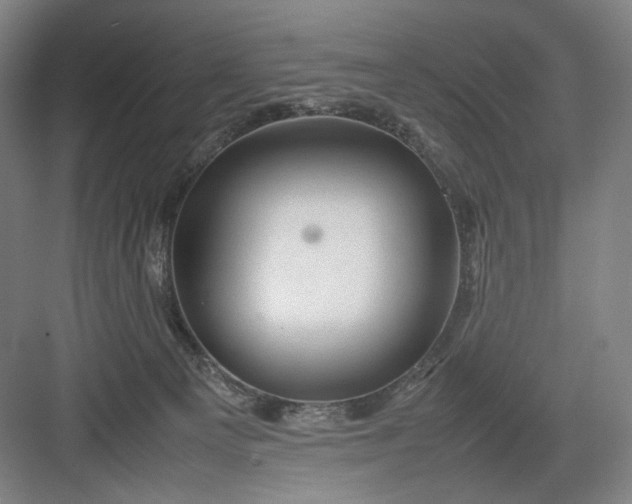 X0000082940129200702152224