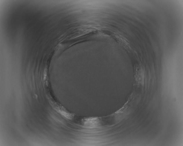 X0000082940132200702152224