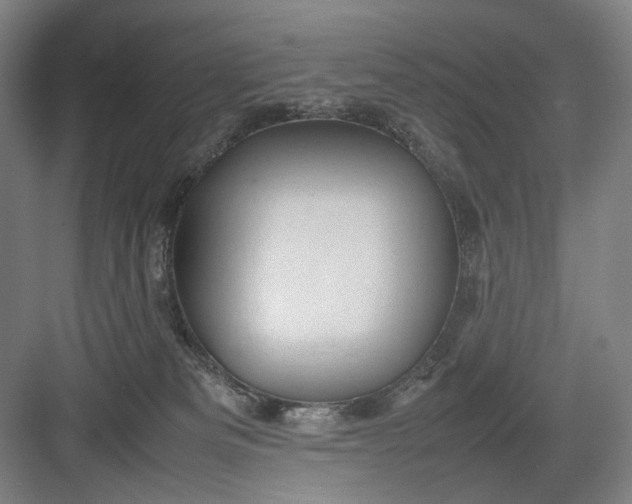 X0000082940133200702152224