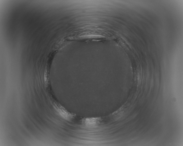 X0000082940134200702152224