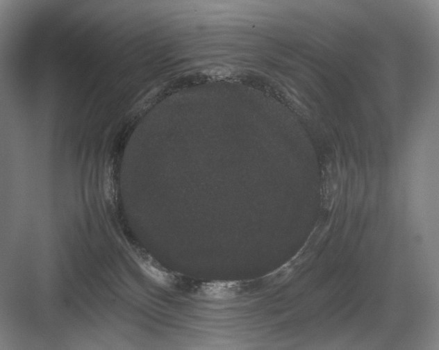 X0000082940136200702152224