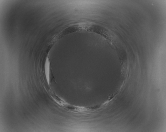 X0000082940137200702152224