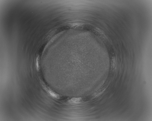 X0000082940138200702152224