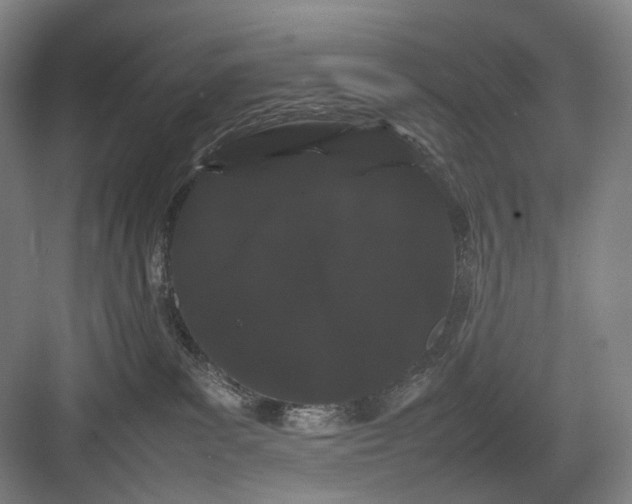 X0000082940139200702152224