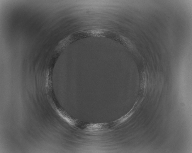 X0000082940140200702152224