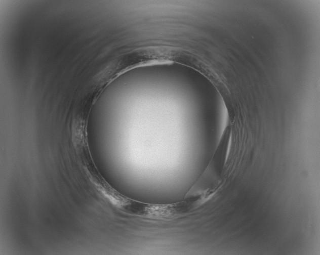 X0000082940141200702152224