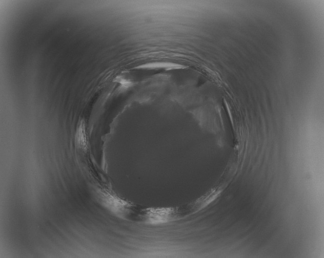 X0000082940143200702152224