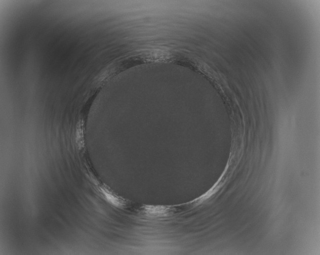 X0000082940144200702152224