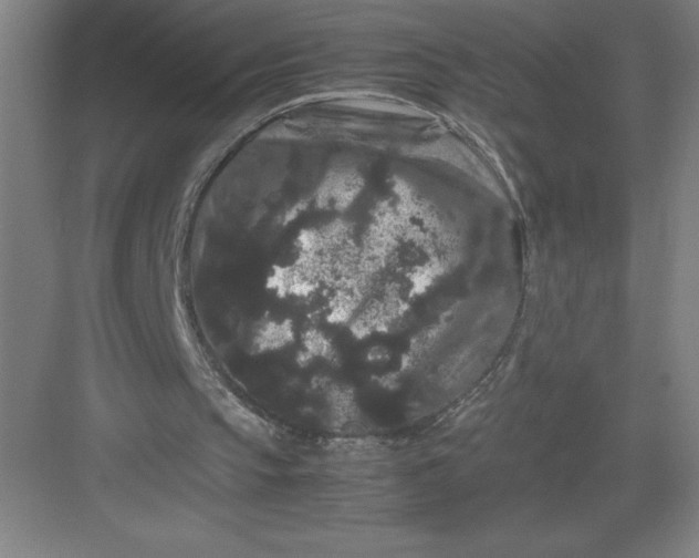 X0000082940145200702152223