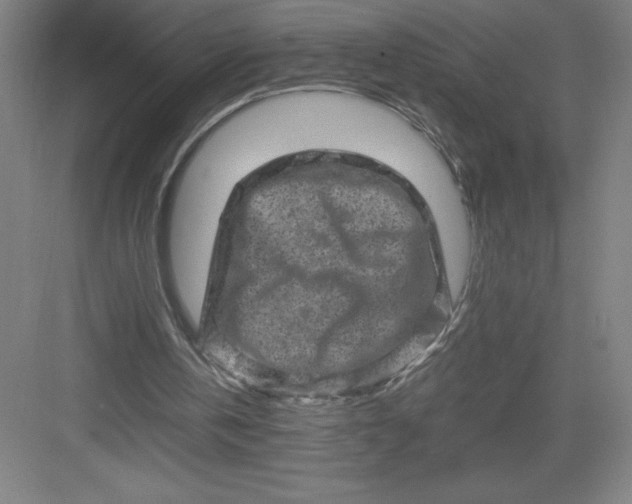 X0000082940146200702152223