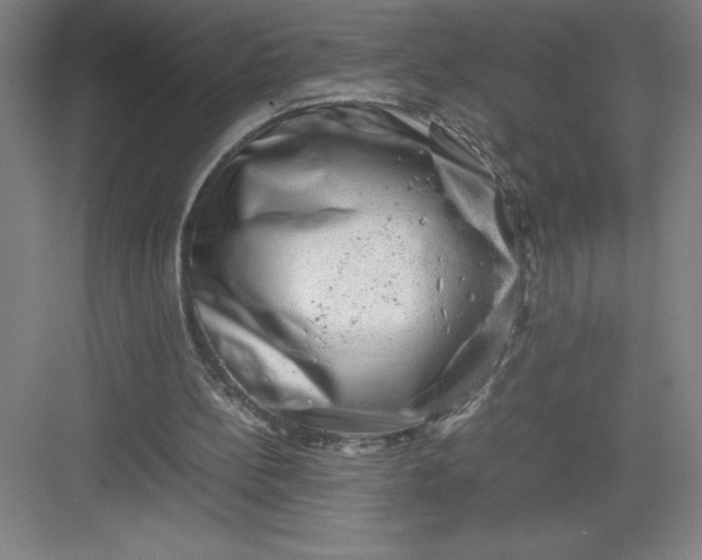 X0000082940148200702152223