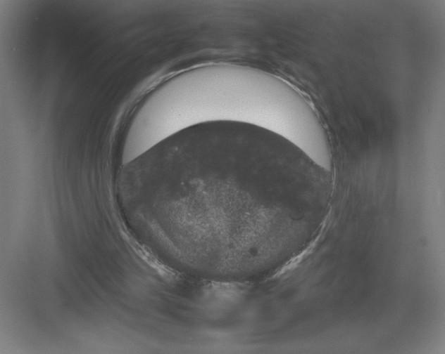 X0000082940149200702152223