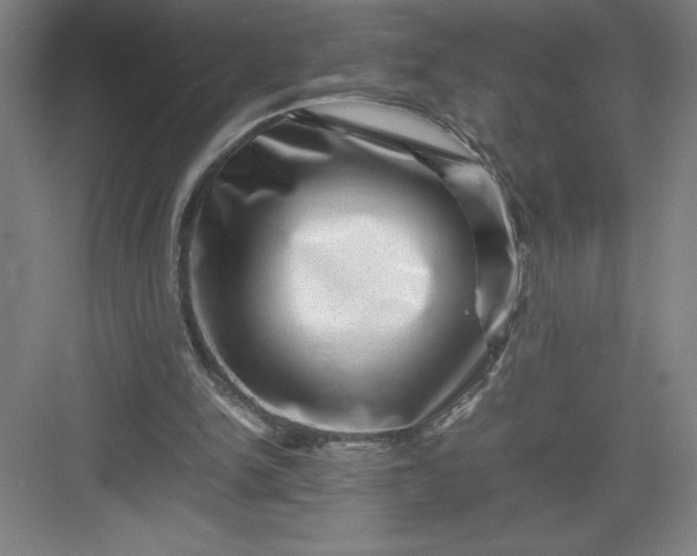 X0000082940150200702152223