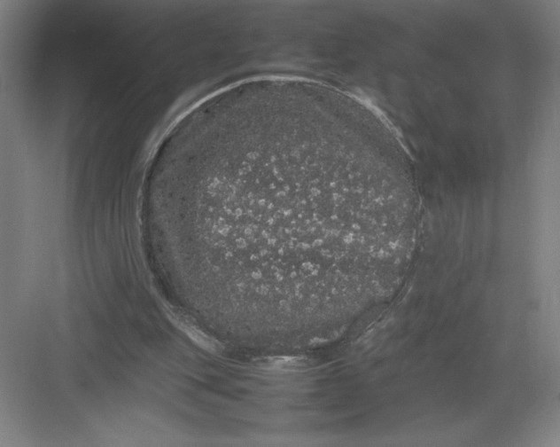 X0000082940151200702152223