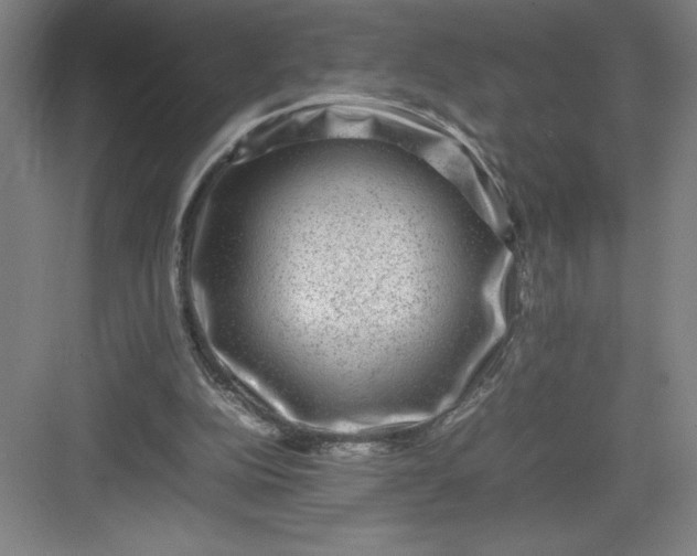 X0000082940152200702152223