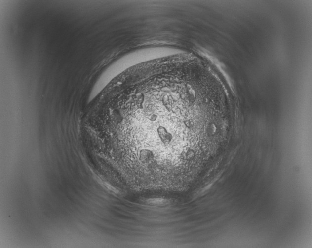 X0000082940153200702152223