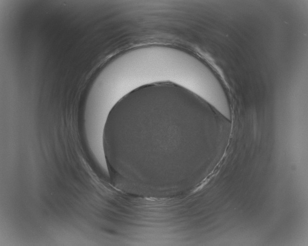 X0000082940154200702152223