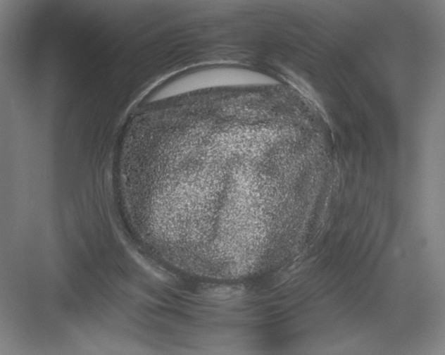 X0000082940155200702152223