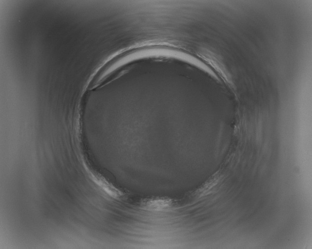 X0000082940156200702152223